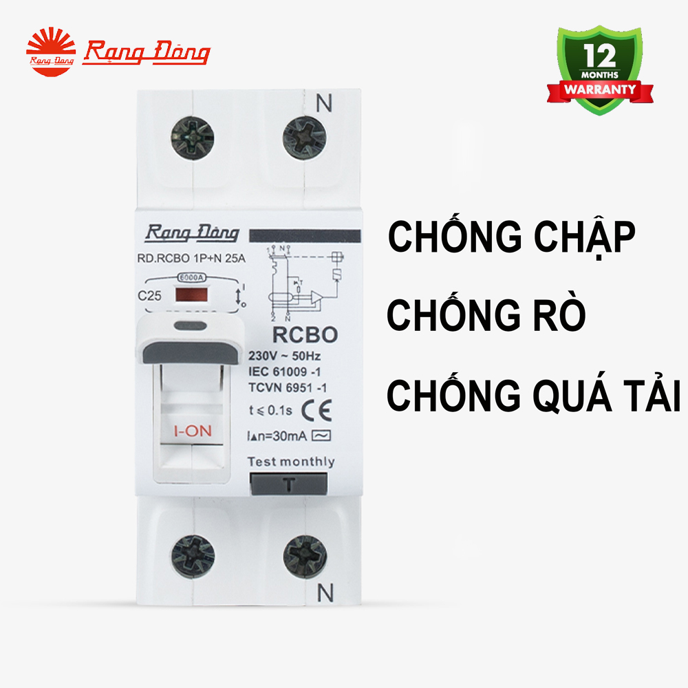 CB RCBO 2P 25A